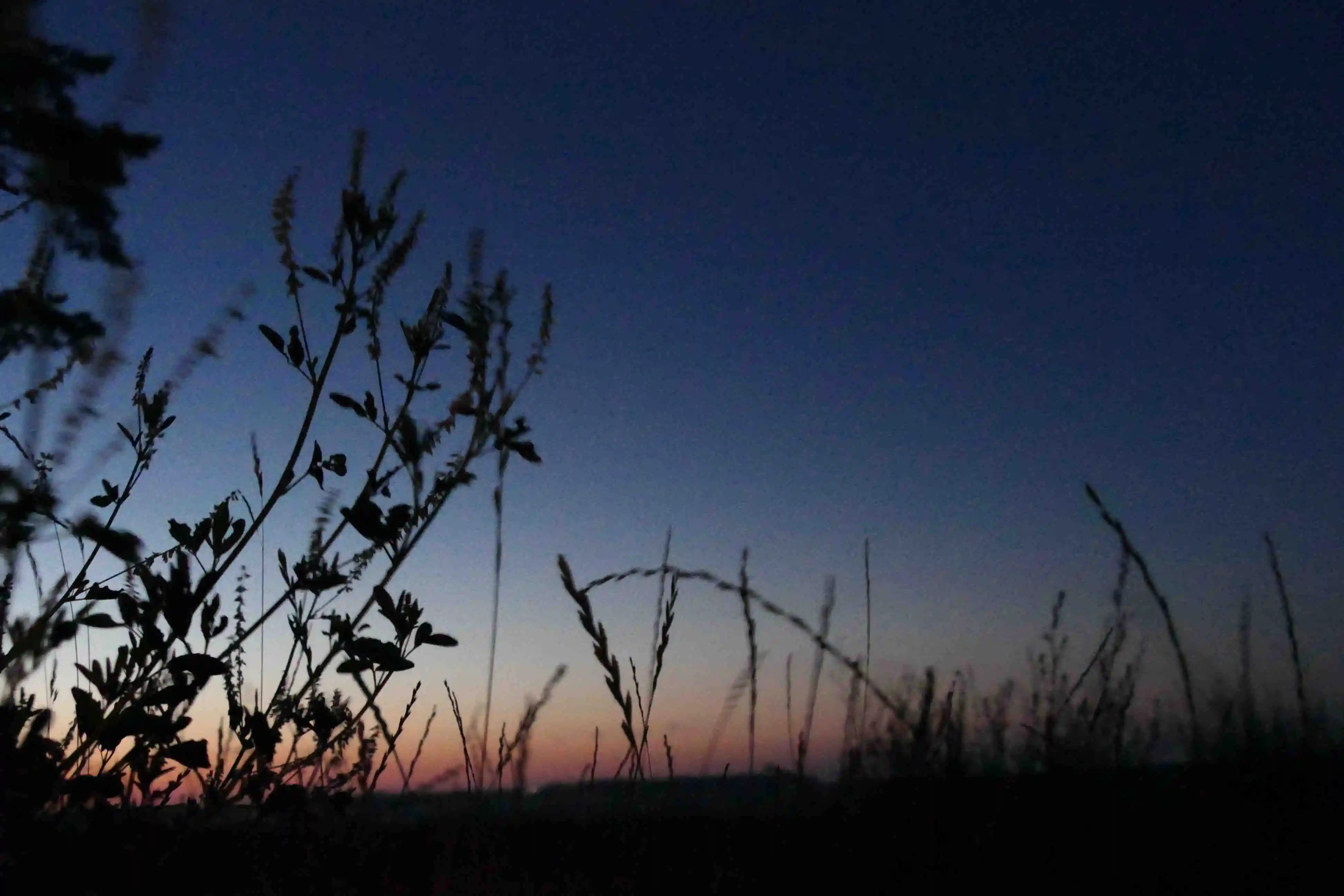 Die beinahe mitternächtliche Abenddämmerung mit Blick über die Düne.